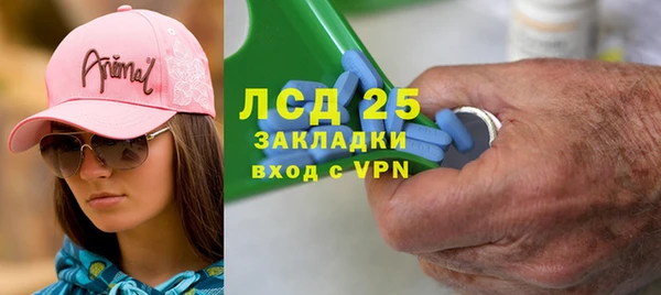 mix Инта
