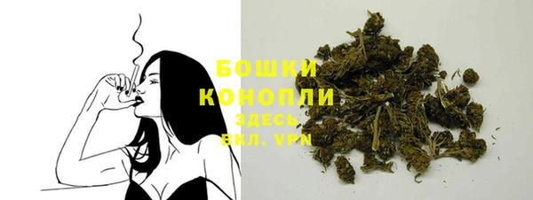 mix Инта